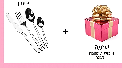 סט סכום חלק וקאלסי ארקוסטיל דגם יסמין 24 חלקים