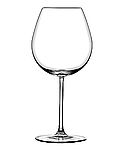 סט 6 כוסות זכוכית יין אלגרה גבוהות יוקרתיות 490 מל ARCOSTEEL